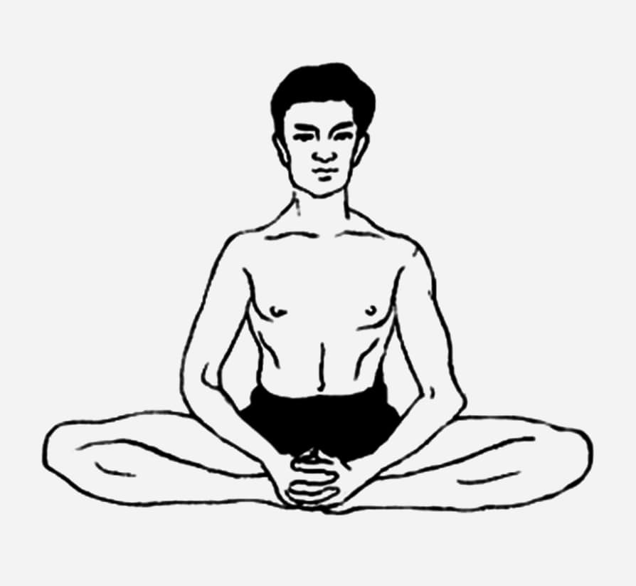 Bhadrasana (the firm / auspicious posture)